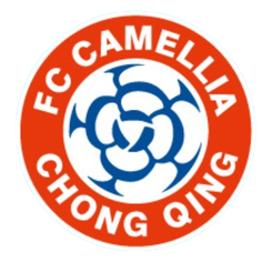 Chongqing Dikai
